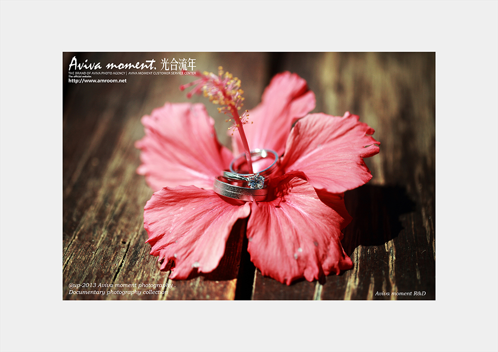 ޱ����(����)---ޱ���������߶˼�ʵ��ɴ��Ӱ|�人��ɴ��Ӱ|�人��ɴ��Ӱ������|�������»�ɴ��Ӱ
